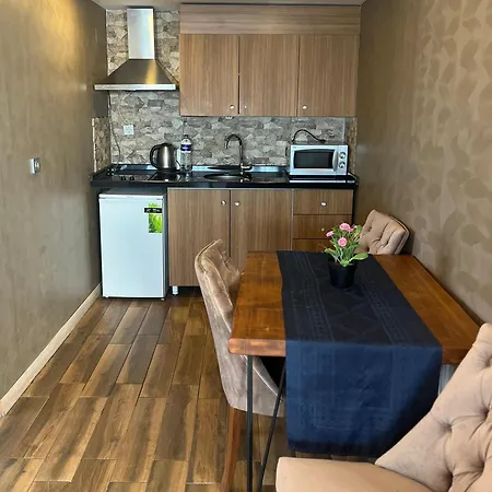 公寓式酒店 阿宫殿套房公寓式酒店 伊斯坦布尔