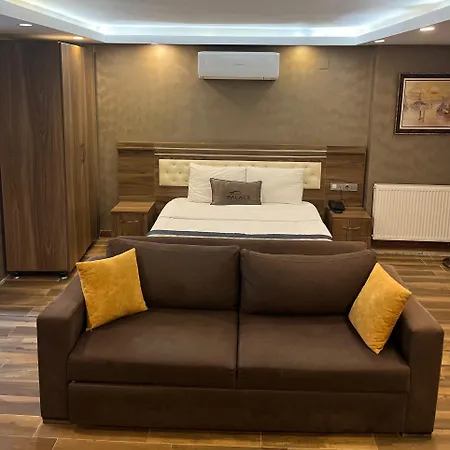 阿宫殿套房公寓式酒店 伊斯坦布尔