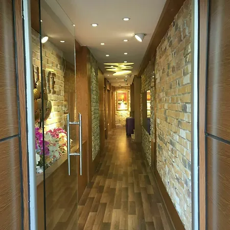 阿宫殿套房公寓式酒店 3* 伊斯坦布尔